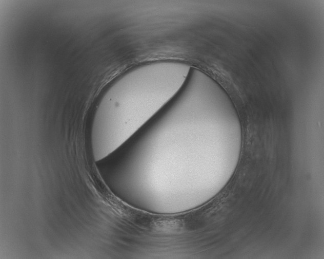 X0000060790202200511101043