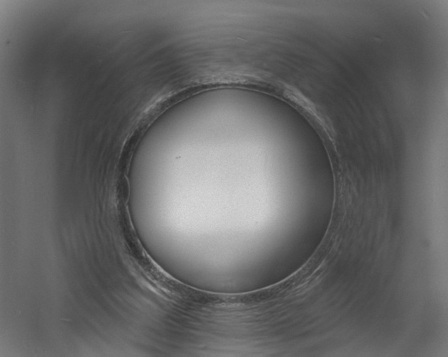 X0000060790203200511101043