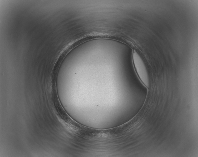 X0000060790204200511101043