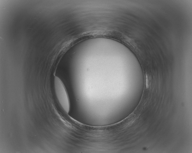 X0000060790205200511101043