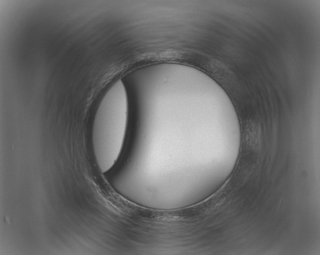 X0000060790206200511101043