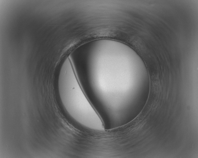 X0000060790207200511101043