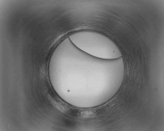 X0000060790208200511101043