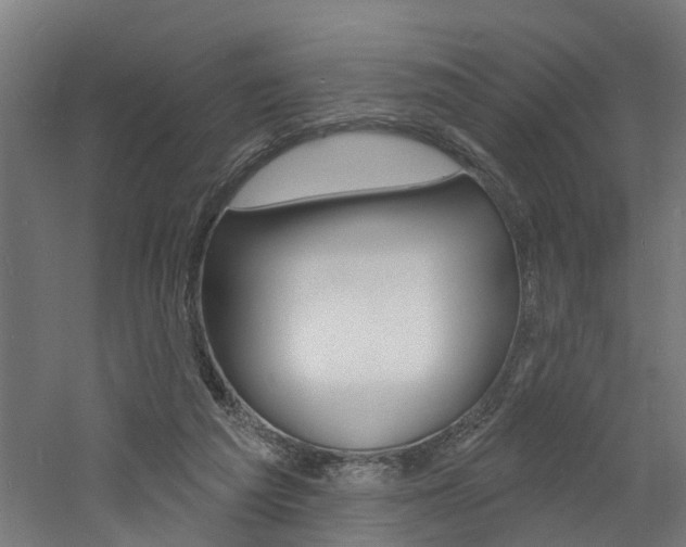 X0000060790209200511101043