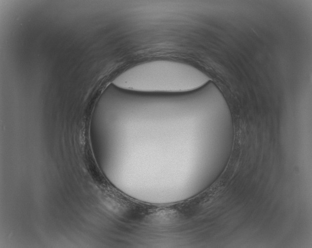 X0000060790210200511101043