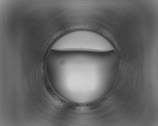 X0000060790212200511101043