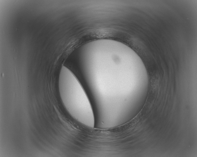 X0000060790214200511101043