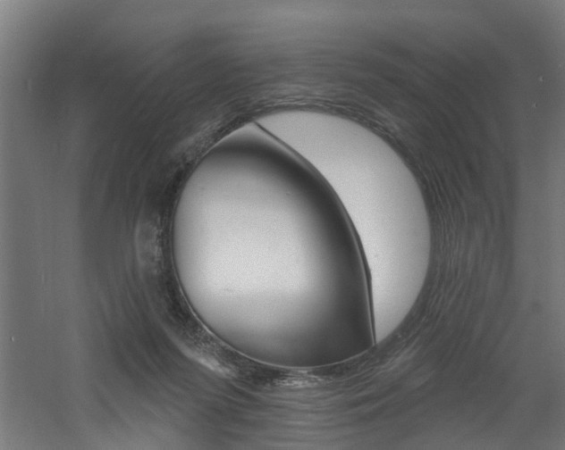 X0000060790215200511101043