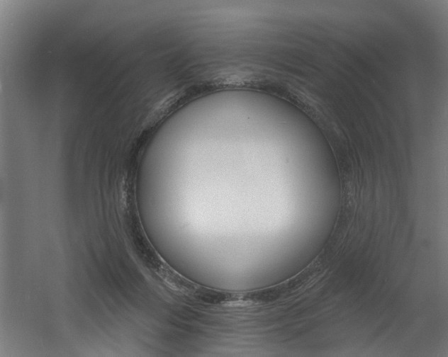 X0000060790216200511101043