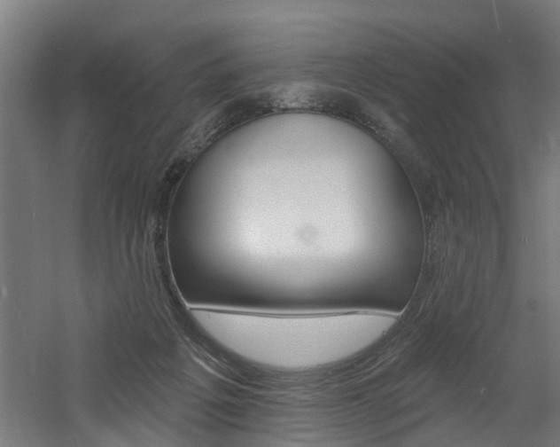 X0000060790217200511101043