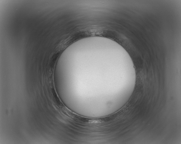 X0000060790218200511101043