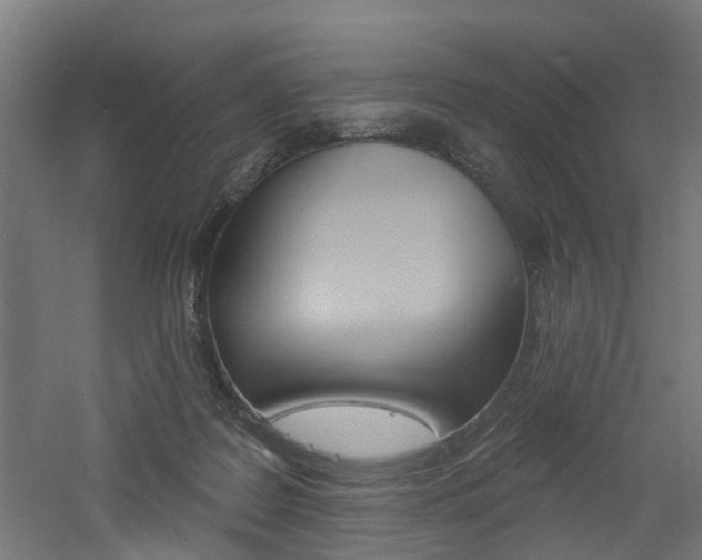 X0000060790219200511101043