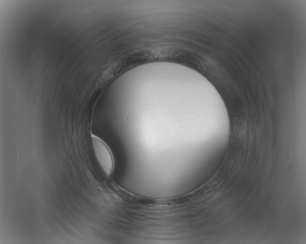 X0000060790220200511101043