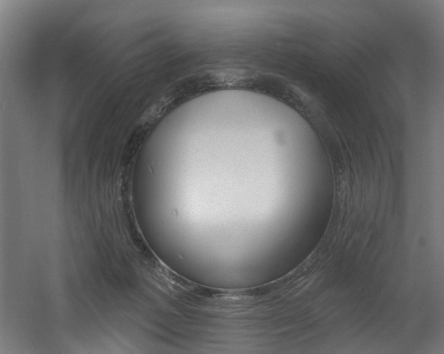 X0000060790221200511101043