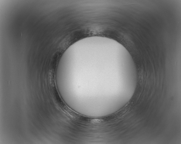 X0000060790222200511101043