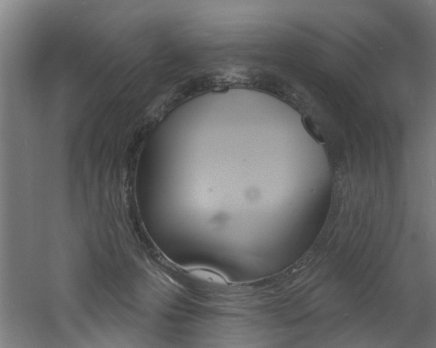 X0000060790223200511101043