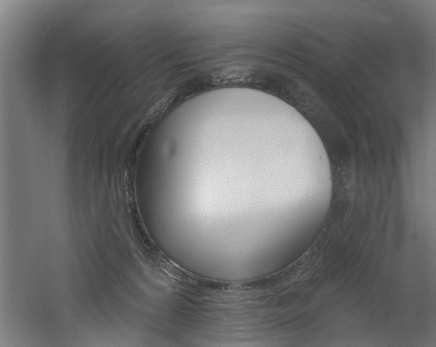 X0000060790224200511101043