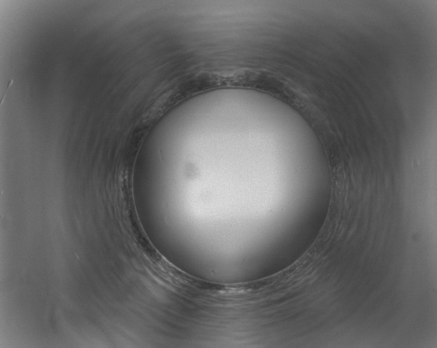 X0000060790225200511101043