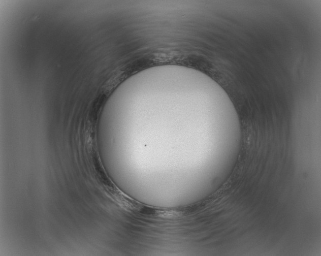 X0000060790226200511101043