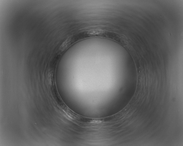 X0000060790227200511101043