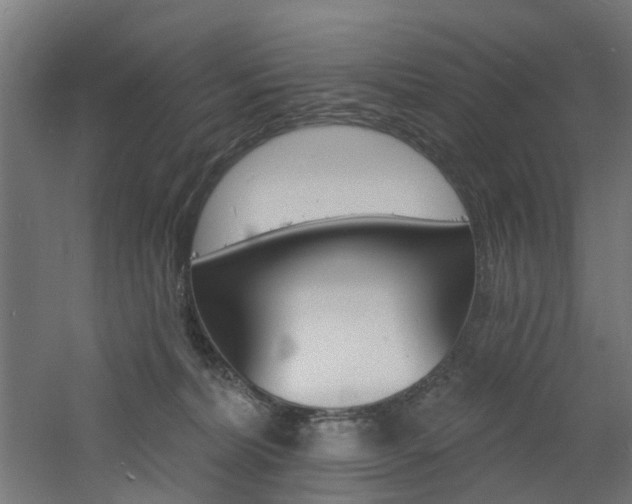 X0000060790228200511101043