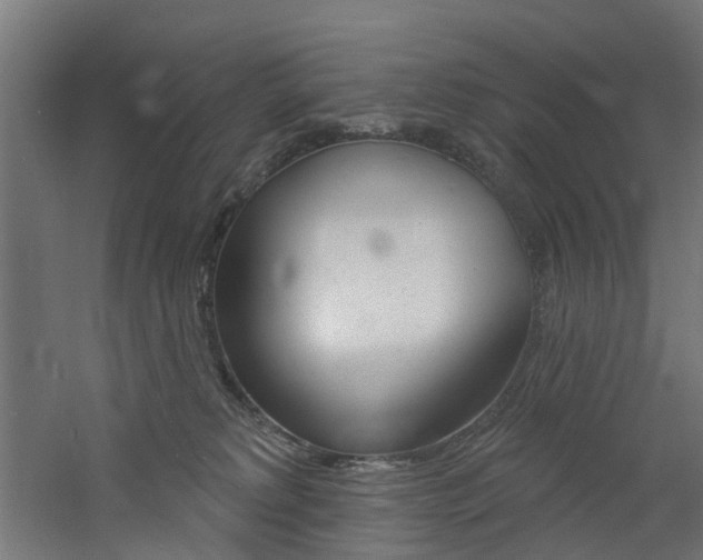 X0000060790229200511101043