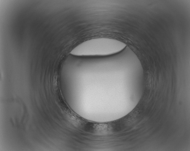 X0000060790230200511101043