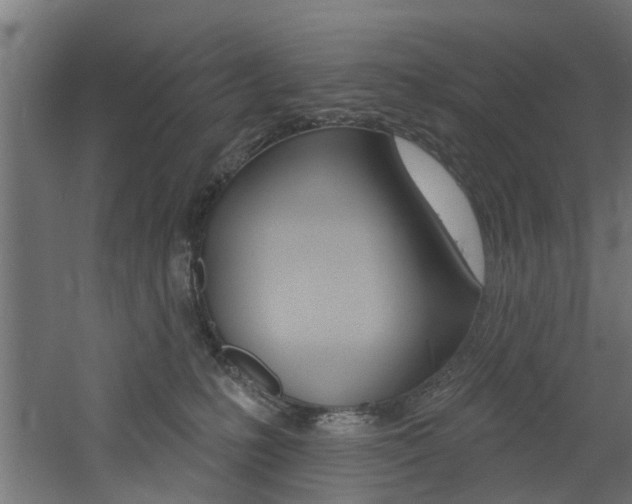 X0000060790231200511101043