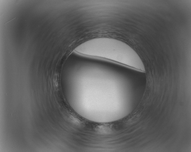 X0000060790232200511101043