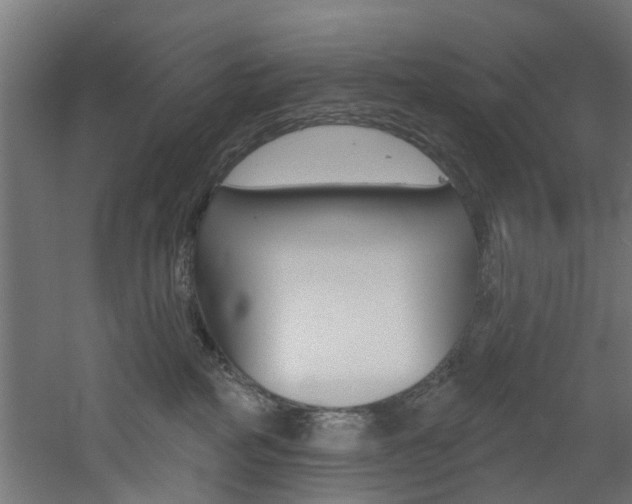 X0000060790234200511101042