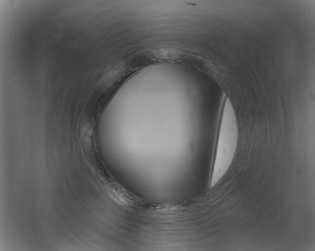 X0000060790235200511101042