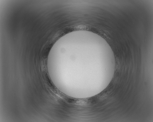 X0000060790236200511101042