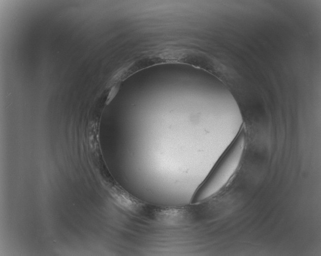 X0000060790237200511101042