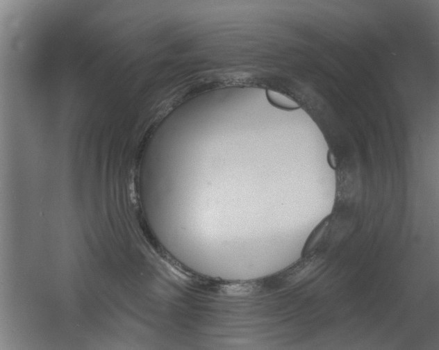 X0000060790238200511101042