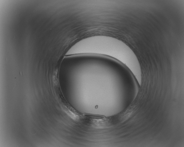 X0000060790239200511101042