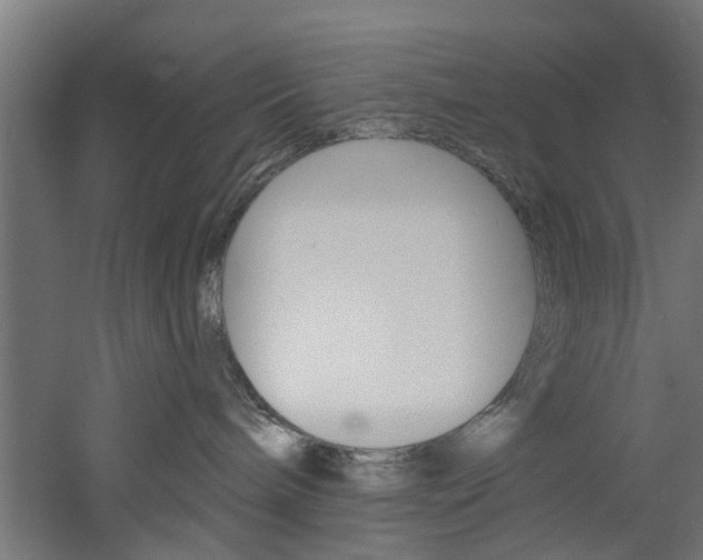 X0000060790240200511101042