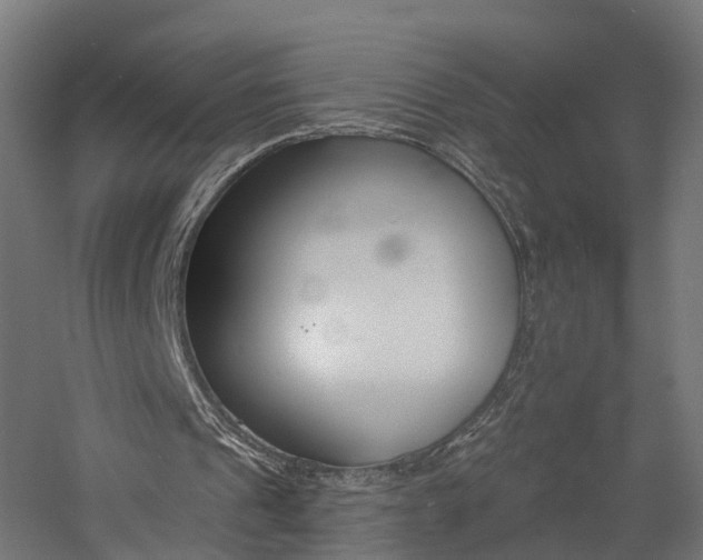 X0000060790241200511101042