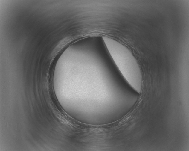 X0000060790242200511101042