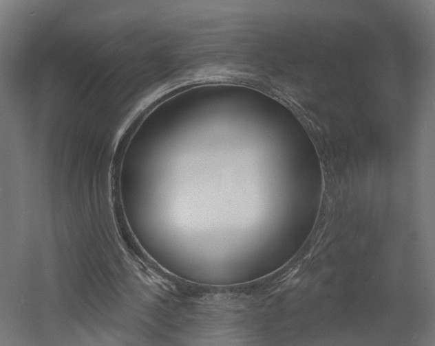 X0000060790244200511101042