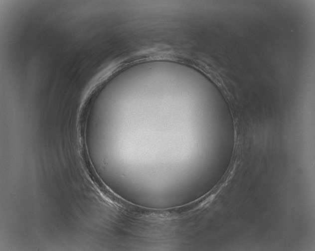 X0000060790245200511101042