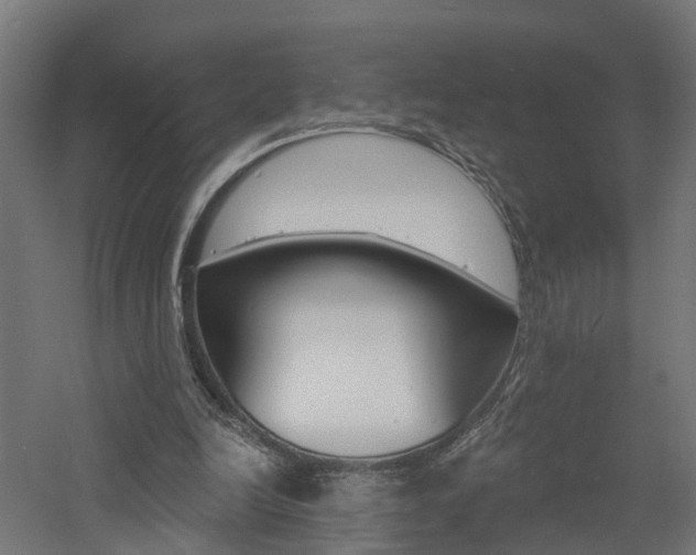 X0000060790246200511101042