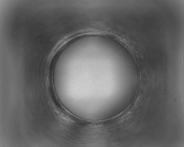 X0000060790247200511101042