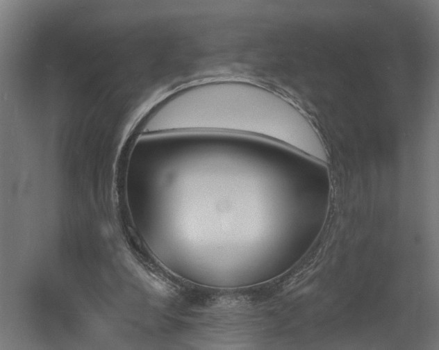 X0000060790248200511101042