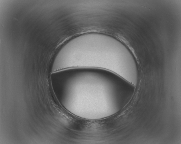 X0000060790249200511101042