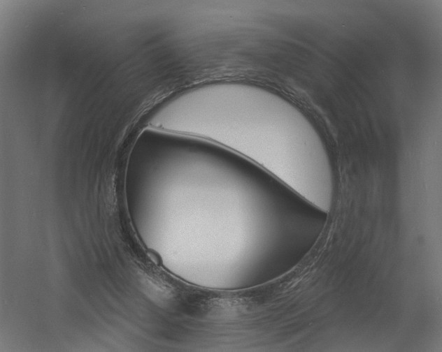 X0000060790250200511101042