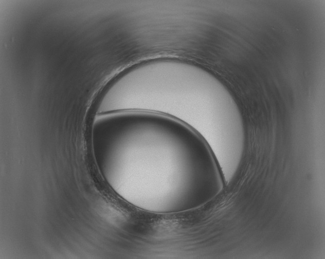 X0000060790252200511101042