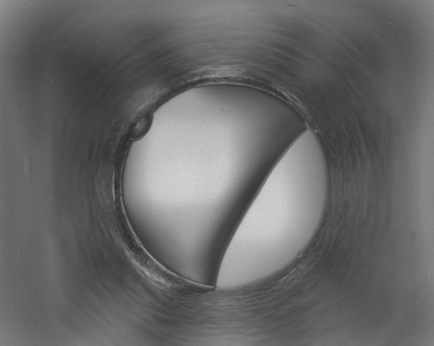 X0000060790253200511101042