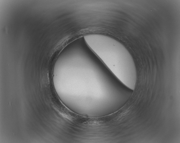 X0000060790254200511101042