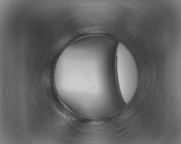 X0000060790255200511101042