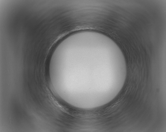 X0000060790256200511101042